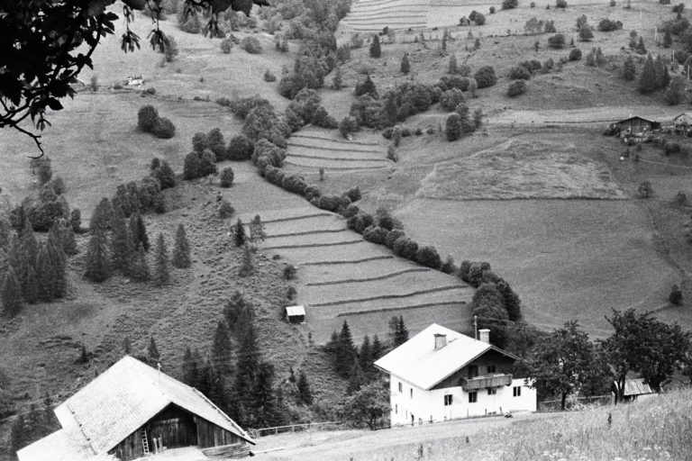 Astlehenhof, Blick auf die gegenüberliegenden Felder, ca. 1964, © Fam. Raab aus Köln