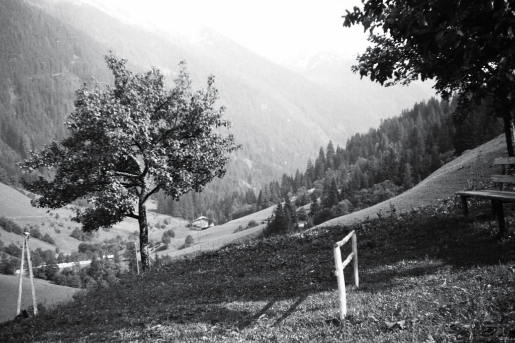 Blick in Richtung Forstau Winkl, ca. 1964, © Fam. Raab aus Köln