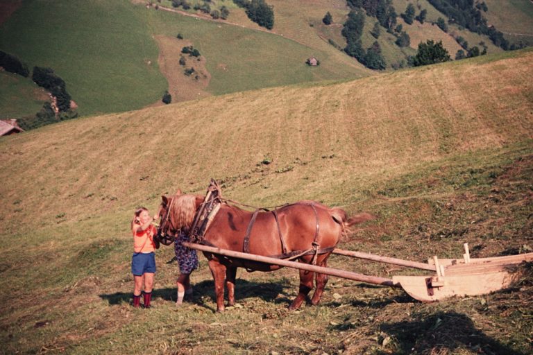 Mädchen mit Pferd samt Heuschlitten, ca. 1964, © Fam. Raab aus Köln