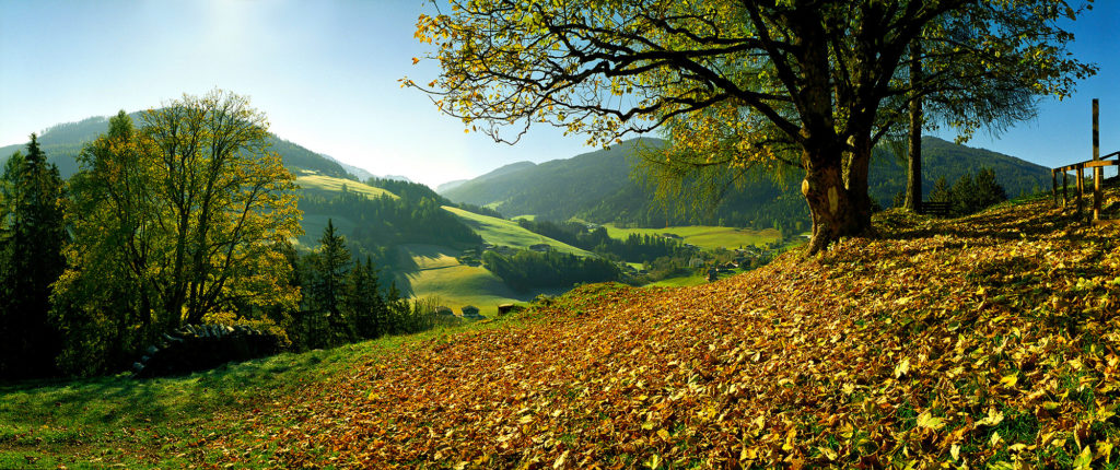 Herbst in Forstau © Tourismusverband Forstau