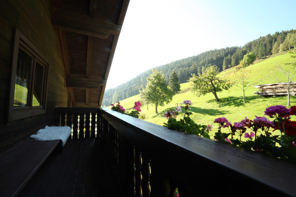 Blick vom Balkon – westseitig