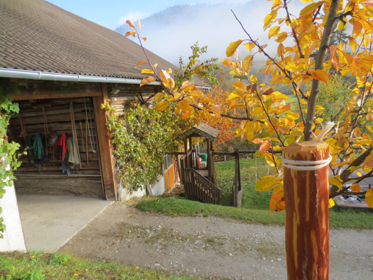 Herbst am Astlehenhof