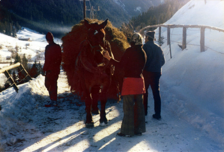 Winterarbeiten am Astlehenhof