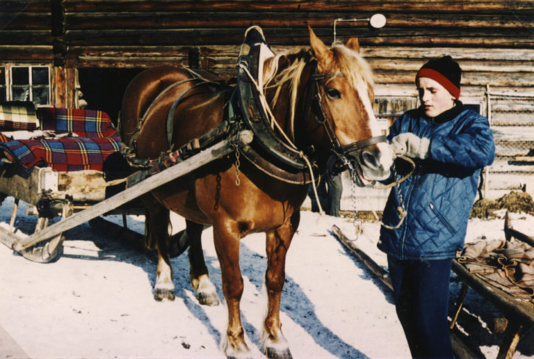 Adam Rettensteiner als junger Bursch beim Einspannen des Pferdes, 1964